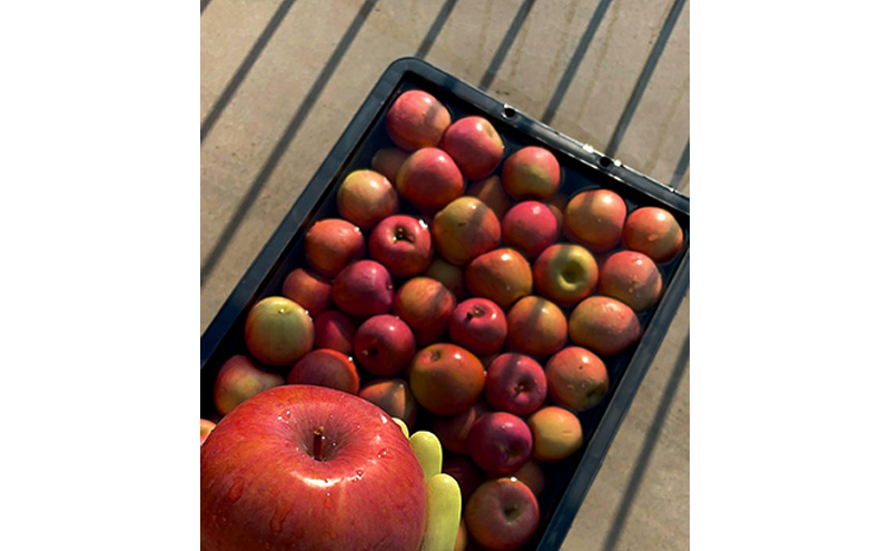 シードル ドライ スパークリング 2025 750ミリリットル / 小豆島醸造 / ふじりんご100%のお酒 / 辛口シードル