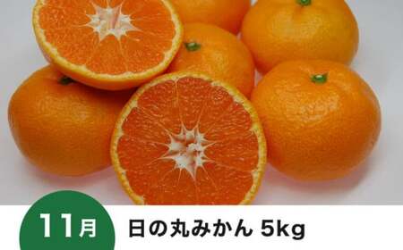 【愛媛県共通返礼品】【定期便】愛媛の柑橘定期便（全6回）（日の丸みかん・紅まどんな・いよかん・不知火（デコポン）・せとか・河内晩柑）◇ ※2026年11月～発送