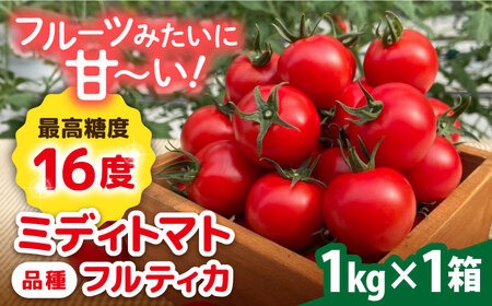 【先行予約】フルティカ 1kg【2025年10月下旬以降順次発送】 糸島市 / かわぞえ農園 トマト 中玉トマト [AAM005]