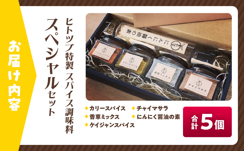 ヒトツブ特製 スパイス 調味料 スペシャル セット 香辛料 カリースパイス 香草ミックス ケイジャンスパイス チャイマサラ にんにく醤油の素 カレーライス 加工品 特製ブレンド おすすめ ギフト 贈り
