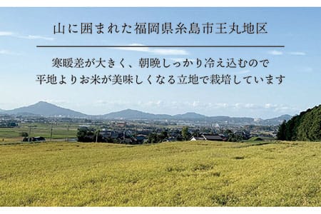 【全3回定期便】糸島産ヒノヒカリ10kg×3回 糸島市 / 糸島王丸農園(谷口汰一)【いとしまごころ】 [AAZ015] 米 5kg 送料無料 白米 玄米 精米 分つき 山水 ヒノヒカリ お米