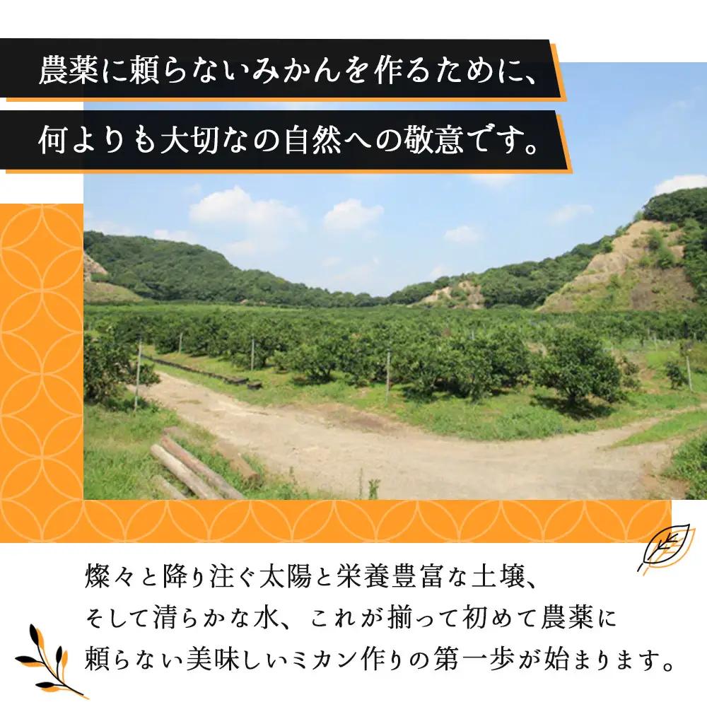 みかんジュース 720ml×6本セット『金蜜（きんみつ）』糖度13度以上 本家六代目上門農園の傑作