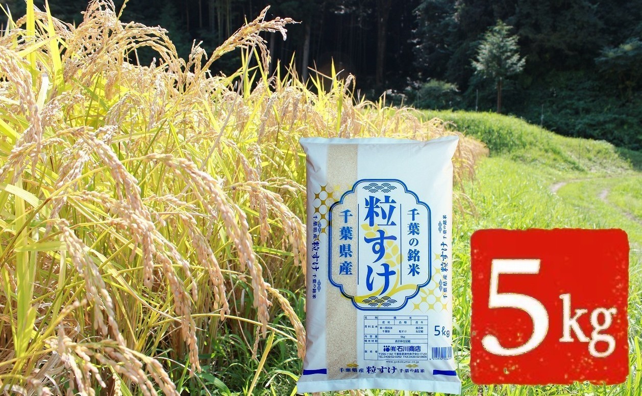 
                  令和7年産 特A評価 粒すけ 精米 5kg | 千葉ブランド米 新品種 大粒 しっかり食感 粘り ご飯 おにぎり お弁当 朝食 石川商店｜千葉県 君津市
                