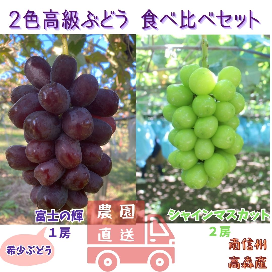 【ふるさと納税】【数量限定】2色高級ぶどう(シャインマスカット、富士の輝)食べ比べセット【配送不可地域：離島】