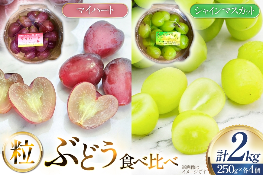 
                  【期間限定発送】 ぶどう 食べ比べ シャインマスカット マイハート 250g 各4個 計8個 2kg セット [治右衛門果樹園 山形県 高畠町 tk06ays830014] ブドウ 葡萄 詰め合わせ セット 山形 フルーツ 果物 小分け 個包装 産地直送 農家直送
                
