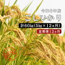 【ふるさと納税】令和6年産 ／お米定期便／12ヵ月　しまね川本 こしひかり 5kg (計60kg） 島根県 川本町産 コシヒカリ 藤屋 石見米