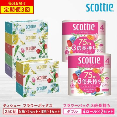 ふるさと納税 八代市 【毎月定期便】スコッティ　ティシュー5箱P×1+3箱P×1+トイレット4ロール(ダブル)P×2全3回