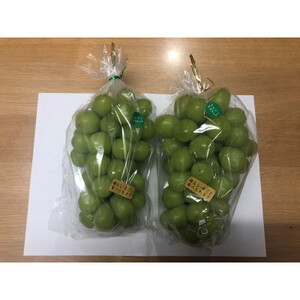 岡山県産シャインマスカット1.3kg(2房)【配送不可地域：離島】【1615817】
