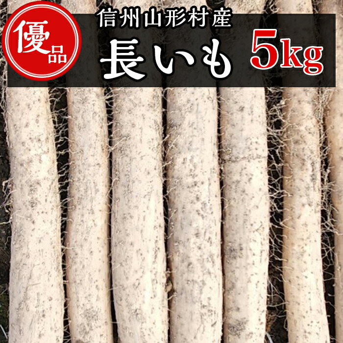 【ふるさと納税】3202 信州山形村産 長いも 優 5kg