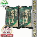 【ふるさと納税】魚沼産コシヒカリ 精米 6kg（3kg×2袋） 6ヶ月連続お届け　定期便・お米・コシヒカリ・新潟県産・定期便　お届け：寄附入金月の翌月から発送