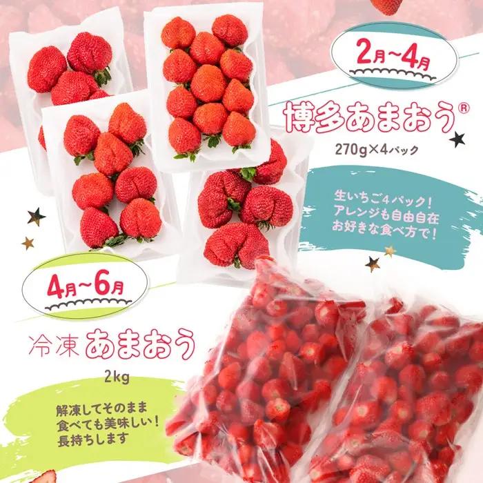 DH005.【あまおうが大好きなアナタへ】あまおう定期便（全4回）【北海道・沖縄・離島へ配送不可】【あまおう】