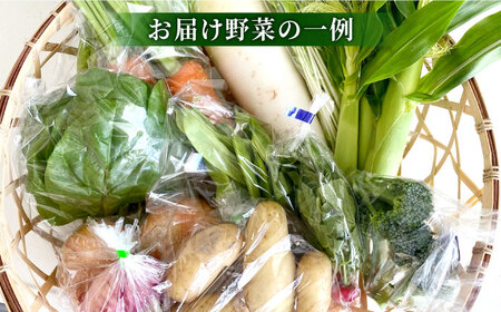 【数量限定】厳選！旬を味わう高槻野菜おまかせ詰め合わせセット（10種～15種）　大阪府高槻市/高槻あぐり[AOCS006]