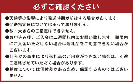 004-1303x1 はるか姫 約3.5kg（A品） さつまいも いも イモ 芋 紅はるか べにはるか 国産 常温 大分県 豊後大野市 【2026年11月下旬-2027年5月下旬発送予定】