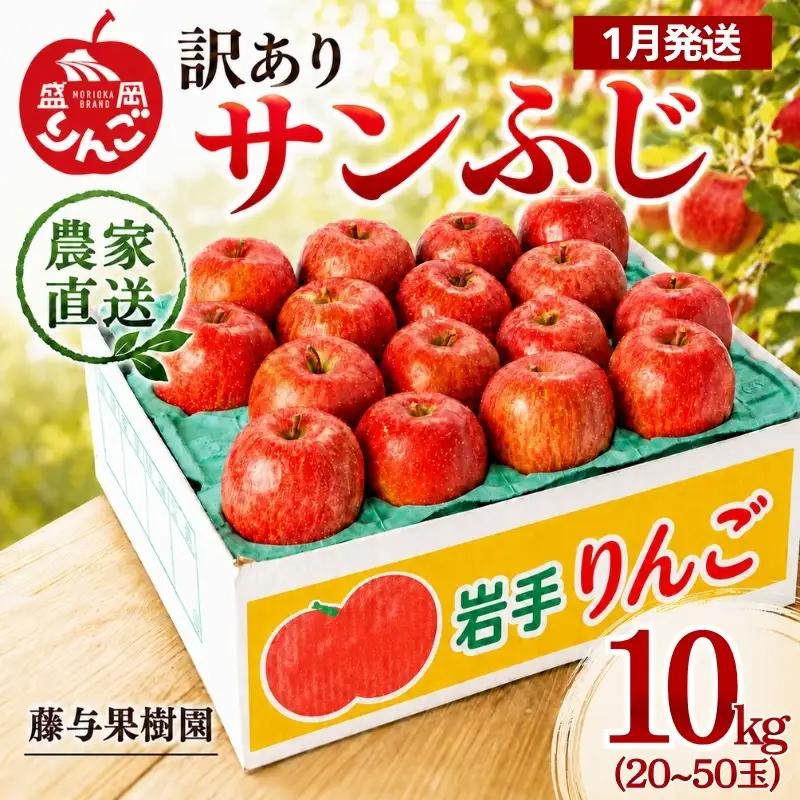 【1月発送】訳ありサンふじ10kg りんご 藤与果樹園 サンふじ fujiyo003s