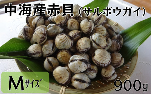 
中海産赤貝（サルボウガイ）Ｍサイズ 900g【赤貝 中海産】
