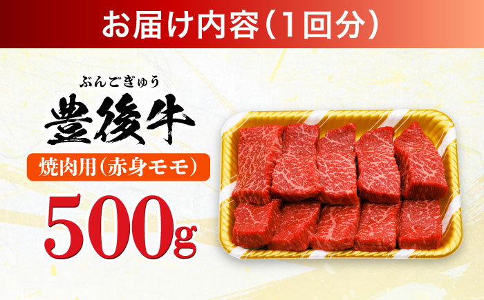 【全6回定期便】おおいた豊後牛 赤身モモ 焼肉用 500g 日田市 / 株式会社MEAT PLUS　牛 うし 黒毛和牛 和牛 豊後牛 [AREI093]