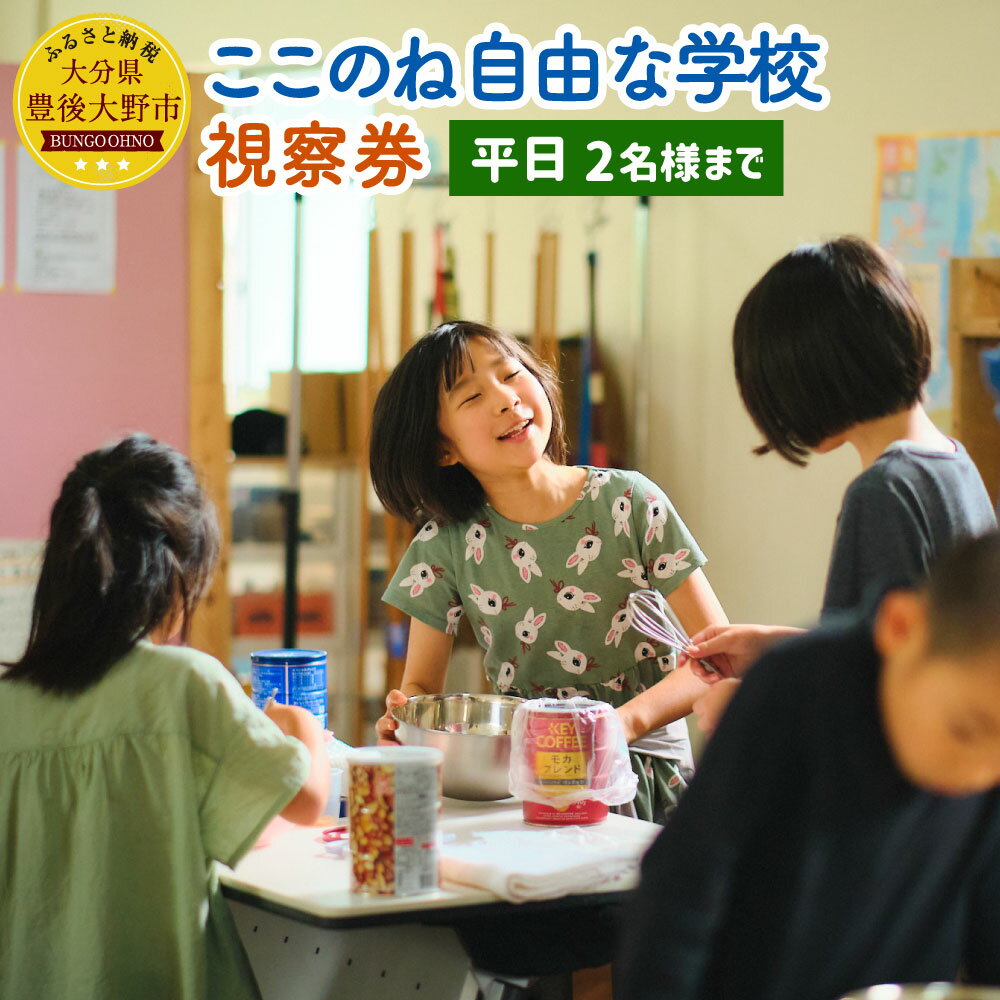 【ふるさと納税】ここのね自由な学校 視察券 平日 2名様まで 大分県 豊後大野市 体験 ご案内 ツアー 送料無料