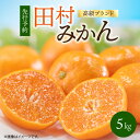 【ふるさと納税】【限定】 【先行予約】田村みかん 5kg 高級ブランド 有田みかん 温州みかん みかん 柑橘 果物 フルーツ 果実 濃厚 甘い コク ミネラル 酸味 甘味 国産 食品 食べ物 お取り寄せ 和歌山県 湯浅町 送料無料