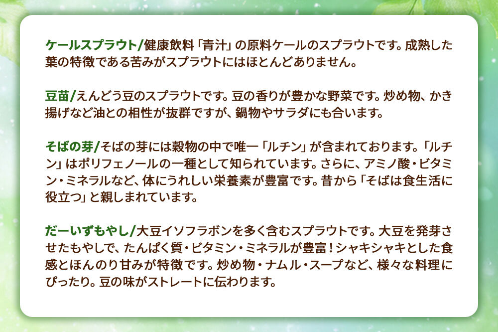 スプラウト、かいわれなど13種セット【白神山系　超軟水仕込み】　計14個 [スプラウト かいわれ カイワレ 野菜 サラダ 香草 飾り付け ベジタブル 秋田県八峰町産 国産]