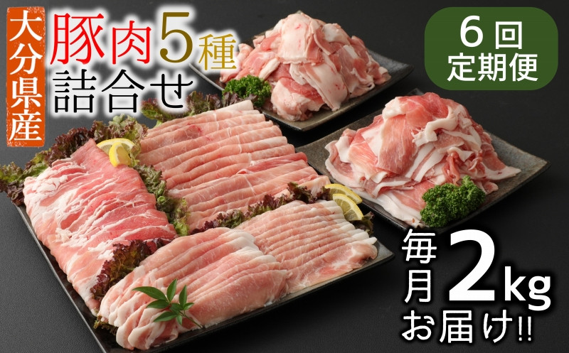 
            【6ヶ月定期便】小分けで便利♪大分県産 豚5種詰め合わせ（約2kg×6回）
          