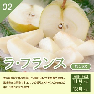 SE0299　【3回定期便】特選 庄内産 洋梨3種味比べ定期便2024 (洋梨〔品種おまかせ〕 、ラ・フランス、シルバーベル/各約3kg)