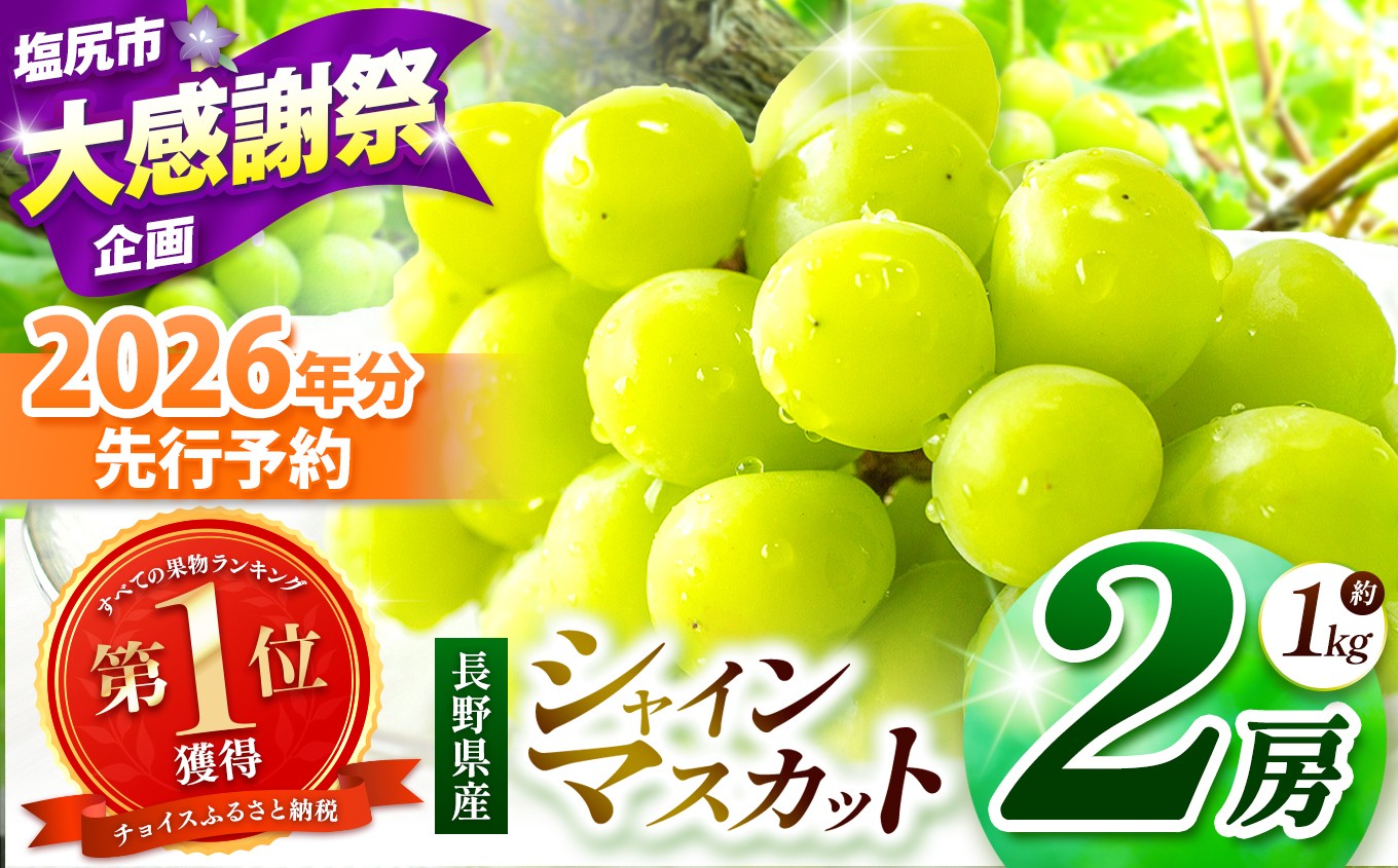 
                  《チョイス限定》【2026年出荷】先行予約開始しました！シャインマスカット 2房 先行予約 【9月下旬～11月下旬にかけて順次発送予定】 | シャイン ぶどう 葡萄 ブドウ くだもの 果物 フルーツ マスカット しゃいん ますかっと 先行 先行予約 旬 塩尻市 塩尻 長野 信州
                