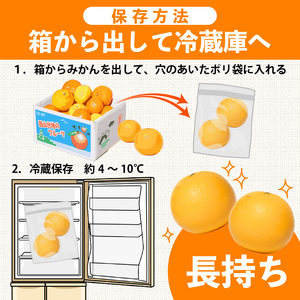 【旬の柑橘詰め合わせ 2.5㎏ 】訳あり 訳アリ わけあり 規格外 不揃い 傷 柑橘 詰め合わせ 食べ比べ 2種以上 セット ミカン みかん 蜜柑 ポンカン ぽんかん せとか デコポン 不知火 しらぬ