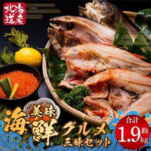 美味 海鮮 グルメ三昧セット 合計約1.9kg ほっけ きんき 干物 いくら | いくら _01703
