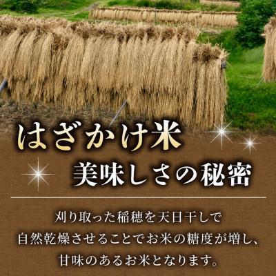 ふるさと納税 東御市 令和8年新米予約!標高700mの台地で稲作一筋の農家が育てたはざかけ八重原米5kg(1袋)玄米 |  | 01