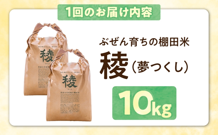 新米 産地直送 精米 国産 おすすめ 人気 10kg