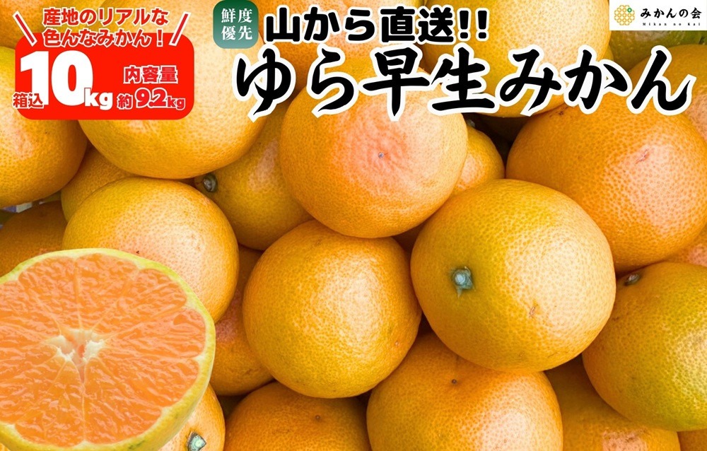 ゆら早生 みかん 山から直送 箱込 10kg (内容量 9.2kg) 採れたてそのままごろごろ規格 有田みかん 和歌山県産 【みかんの会】［2026年10月下旬頃より順次発送予定］ AX314