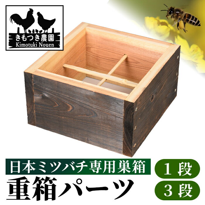 【ふるさと納税】日本ミツバチ用 重箱(1段 or 3段) 飼育箱 完成品 ボックス 箱 杉材 木箱 日本 ミツバチ 飼育 巣箱 蜂 蜂蜜 ハチミツ 養蜂 日本みつばち 木工品 観察 組立品 自然 国産 【きもつき農園】