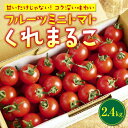 【ふるさと納税】 〈先行予約受付中〉 トマト フルーツミニトマト 2.4kg 『 くれまるこ 』 フルーツトマト 甘い 濃厚 美味しい 箱詰め 高知 久礼 宇井農園