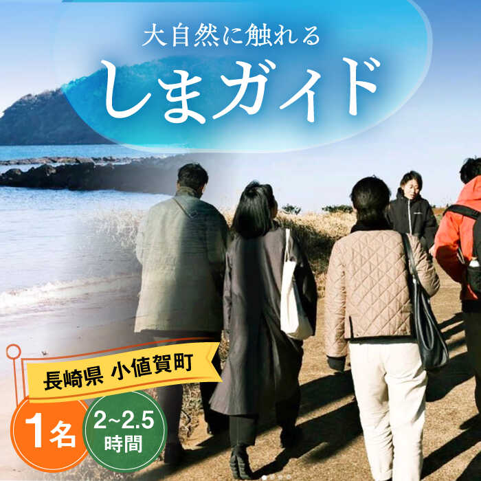 【ふるさと納税】しまガイド 1名様[DBO011]