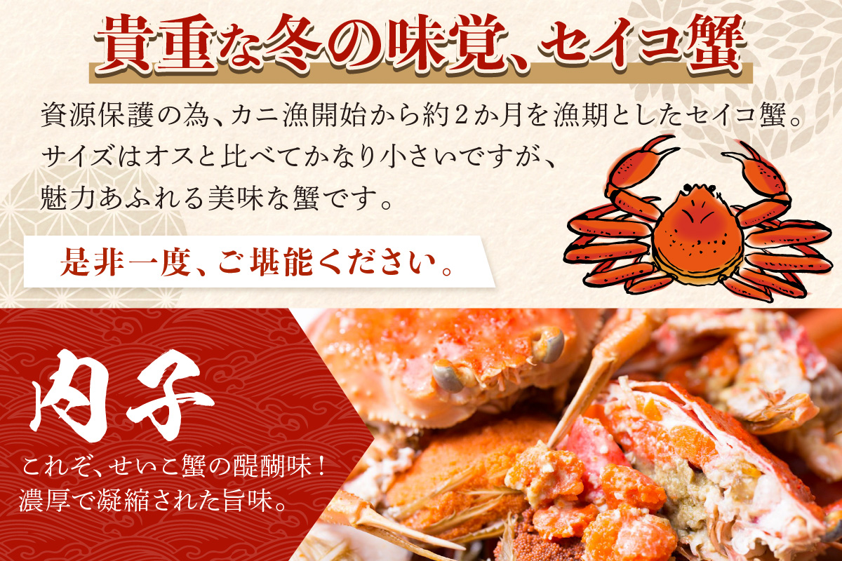 【期間エリア限定！】厳選！絶品！ 釜茹で セイコ蟹12杯 海鮮 かに カニ 蟹 セイコ蟹 セコガニ せこ蟹 ズワイガニ ズワイ蟹 コッペ ボイル 海産物 魚介類 ふるさと納税 カニ ふるさと納税 セイ