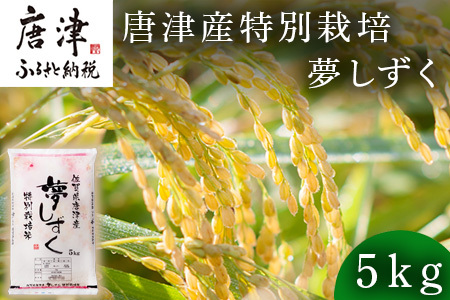 【令和6年産新米】米の食味ランキング3年連続「特A」評価！ 唐津産特別栽培 夢しずく 5kg コメ 精米 お米 ごはん 白米 おにぎり