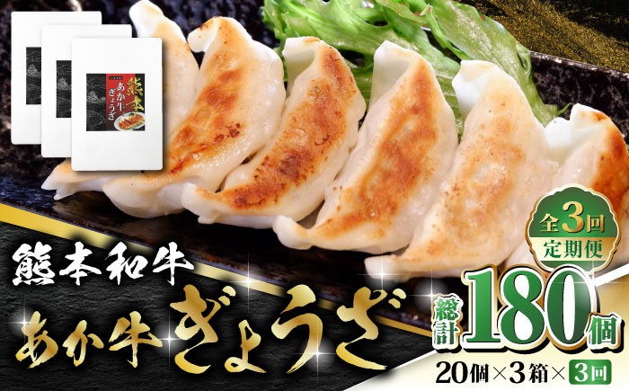 
                  【全3回定期便】熊本和牛 あか牛ぎょうざ 20個×3箱【有限会社 三協畜産】 あかうし 褐毛和種  冷凍 国産  餃子 ぎょうざ ギョウザ 熊本和牛  [ZEB060]
                