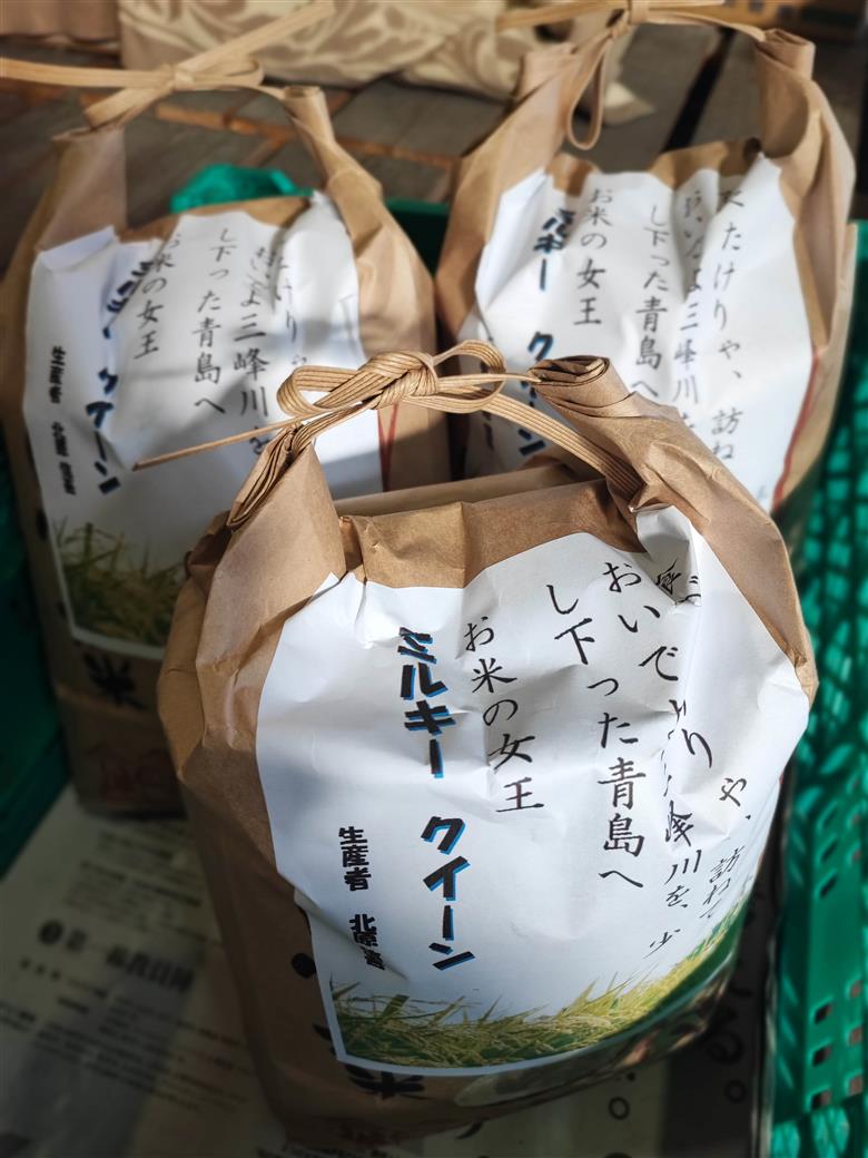 米 5kg ミルキークイーン 令和7年産 市場の目利きが選ぶお米 5kg ミルキークイーン | 米 お米 主食 精米 白米 ミルキークイーン 長野県 伊那市 信州産 2025年10月上旬から発送 【0