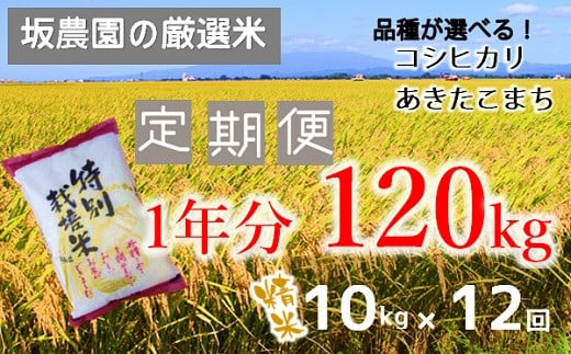 
【定期便12回】坂農園の厳選米！（10kg×12回）※配送期間：2024年10月～2025年9月
