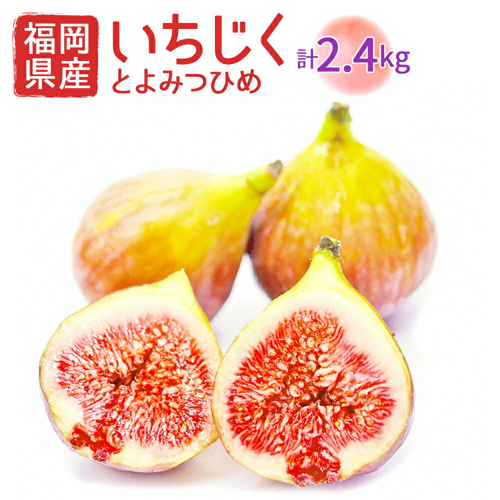 【ふるさと納税】福岡県産 とよみつひめ 約300g×8パック 合計約2.4kg イチジク いちじく 無花果 フルーツ くだもの 果物 冷蔵 福岡県産 送料無料 【2025年8月より順次発送】［F2299a］