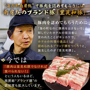 房総ブランド豚　里見和豚　小分け　肩ロース肉スライス450g（150g×3パック）個別包装トレイ不使用 mi0017-0005