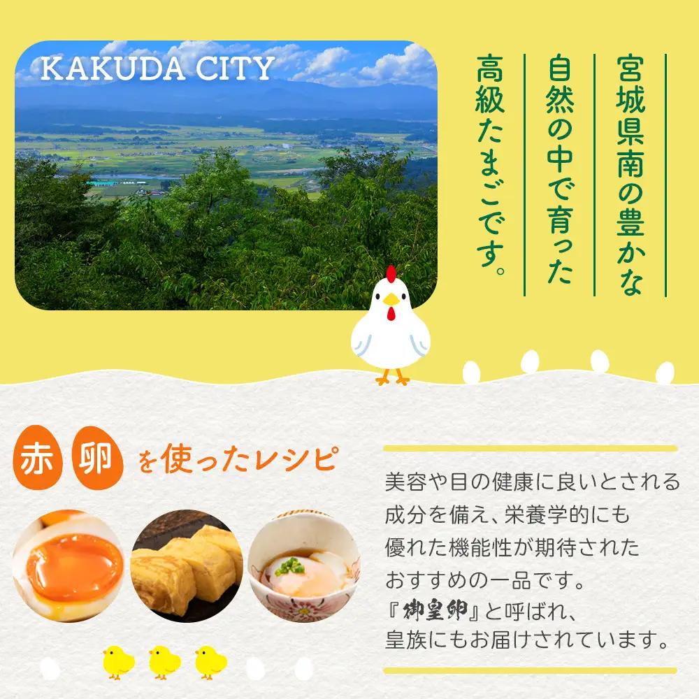 おおえだファーム アスタキサンチン卵（赤）Lサイズ 30個入り 卵