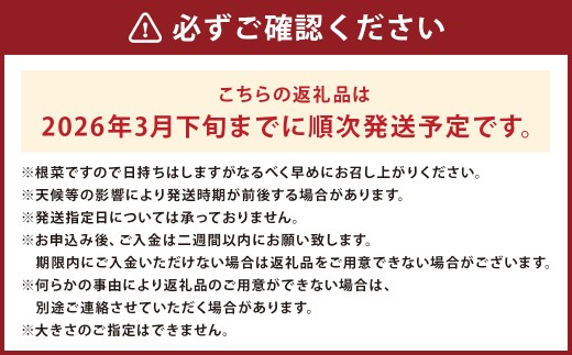 熊本産 紅はるか 約10kg