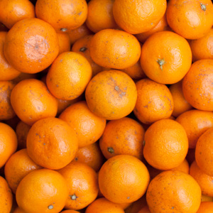 【先行予約】家庭用小さな有田みかん小さな(S以下)5kg+250g 10月より発送/ みかん ミカン 有田みかん 柑橘 フルーツ 果物 和歌山 オレンジ【ikd154B】 