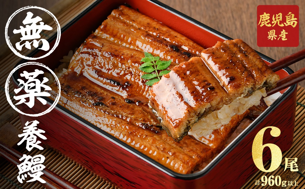 【無薬養鰻】 鹿児島産 山田のうなぎ ＜計960g以上＞ (160g以上×6尾) c2-014
