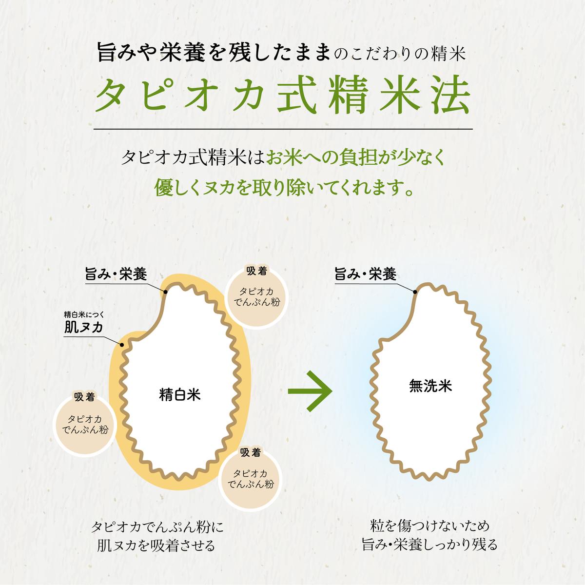 無洗米新潟産コシヒカリセット 5kg 産地直送