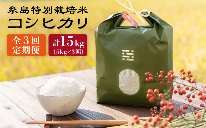 
                  【令和7年産】【全3回定期便】とくべつの中のとくべつ 糸島 特別栽培米 5kg （ コシヒカリ ）《糸島》【itoshimacco / 株式会社やました】 [ARJ025]
                