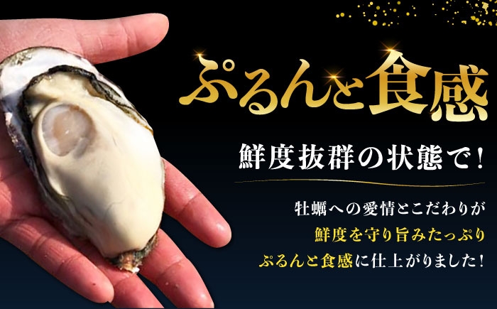 牡蠣 むき身 殻付き かき カキ 生牡蠣 広島牡蠣 オイスター