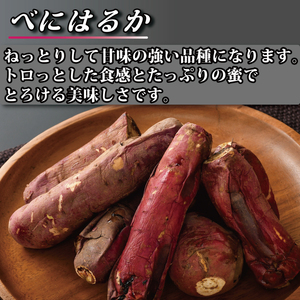 べにはるか冷凍焼き芋（大）（CR-7）
