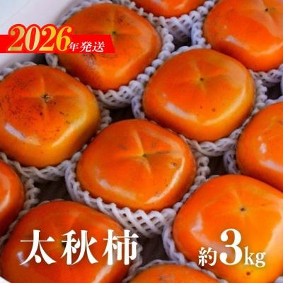 ふるさと納税 福島市  太秋柿　約3kg【2026年発送　先行受付】No.2859